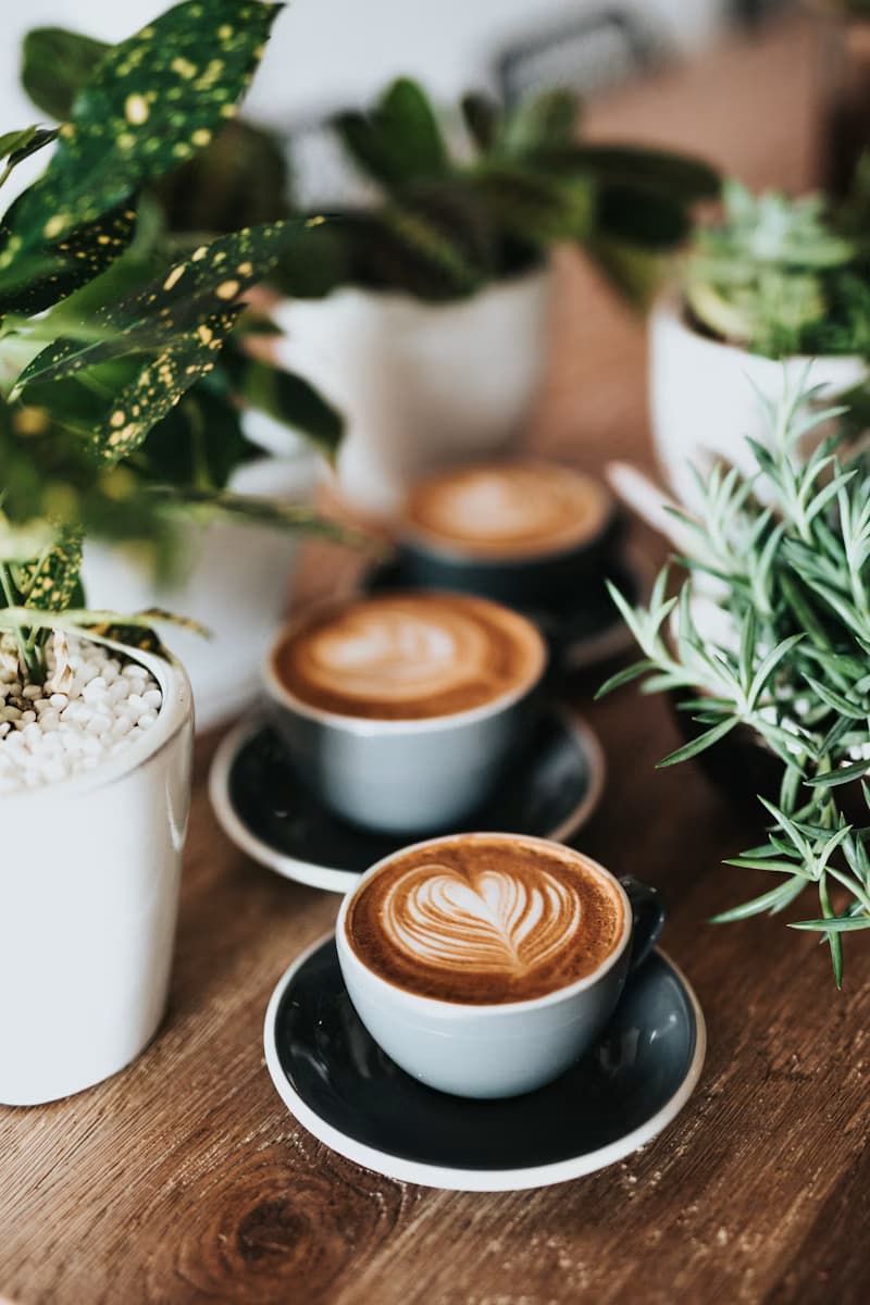 Artisanal Brew Cold Coffee
